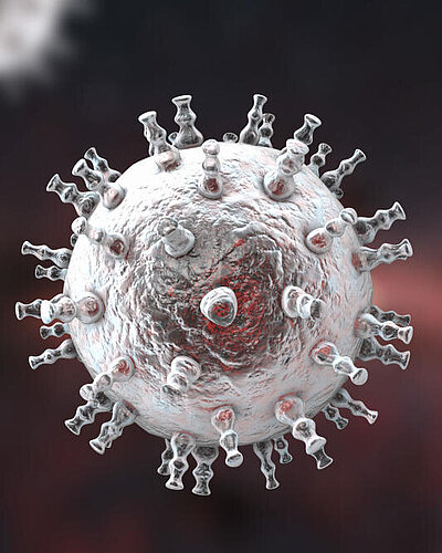 3D-Illustration eines Herpesvirus
