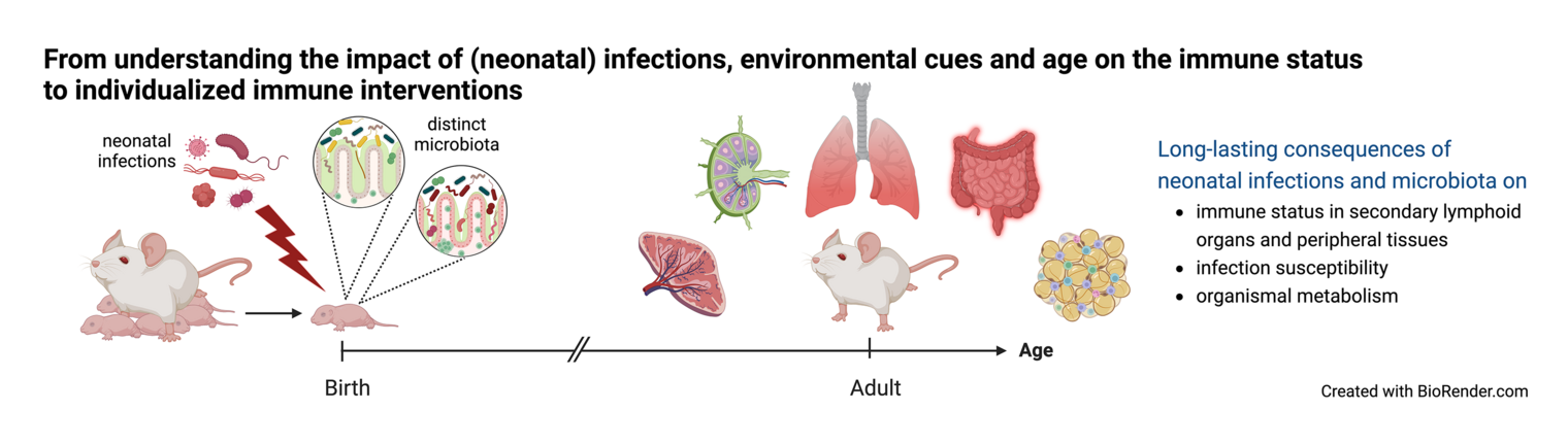 Info graphic neonatal infections