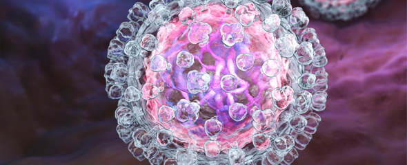 Illustration eines Hepatitis C-Virus