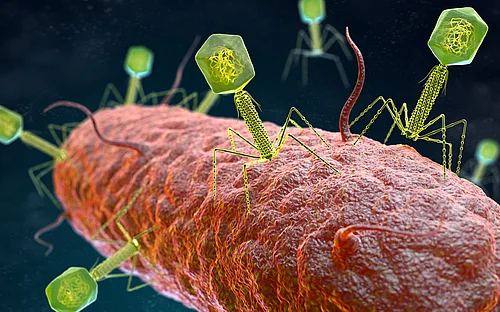 Antimikrobielle Wirkstoffe der Zukunft