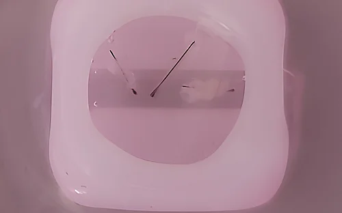 Hair follicle models from the 3D printer 