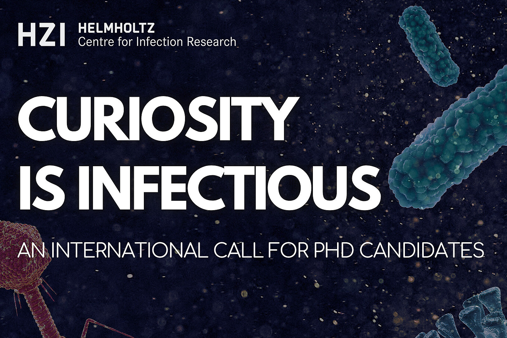 Poster Curiosity is Infectious