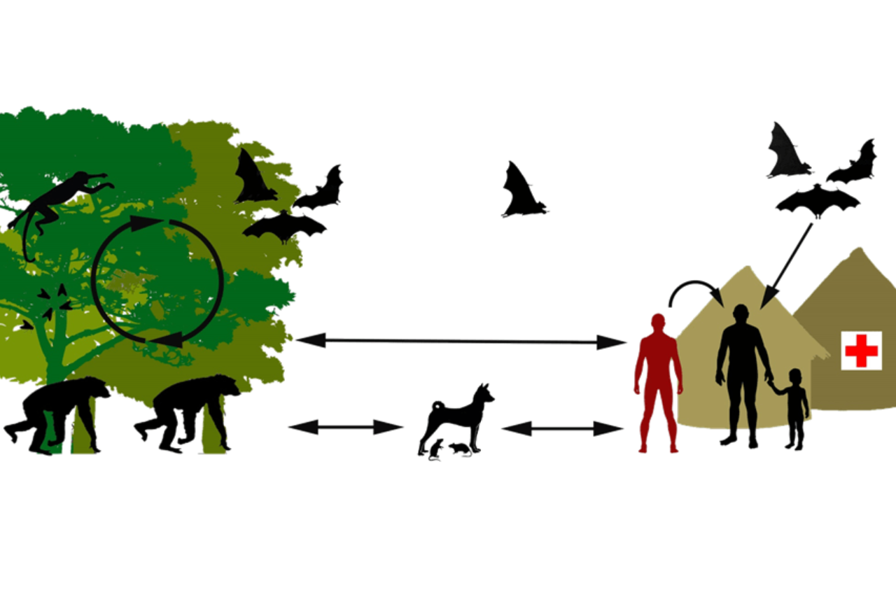 Infografik
