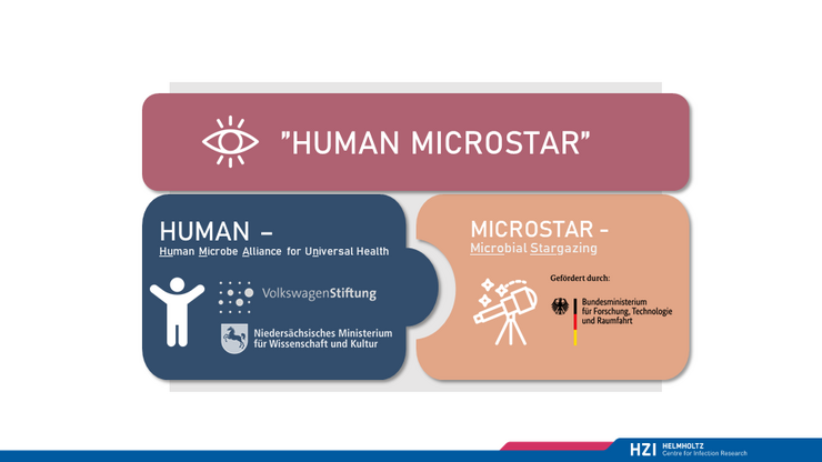 Human Microstar Logo