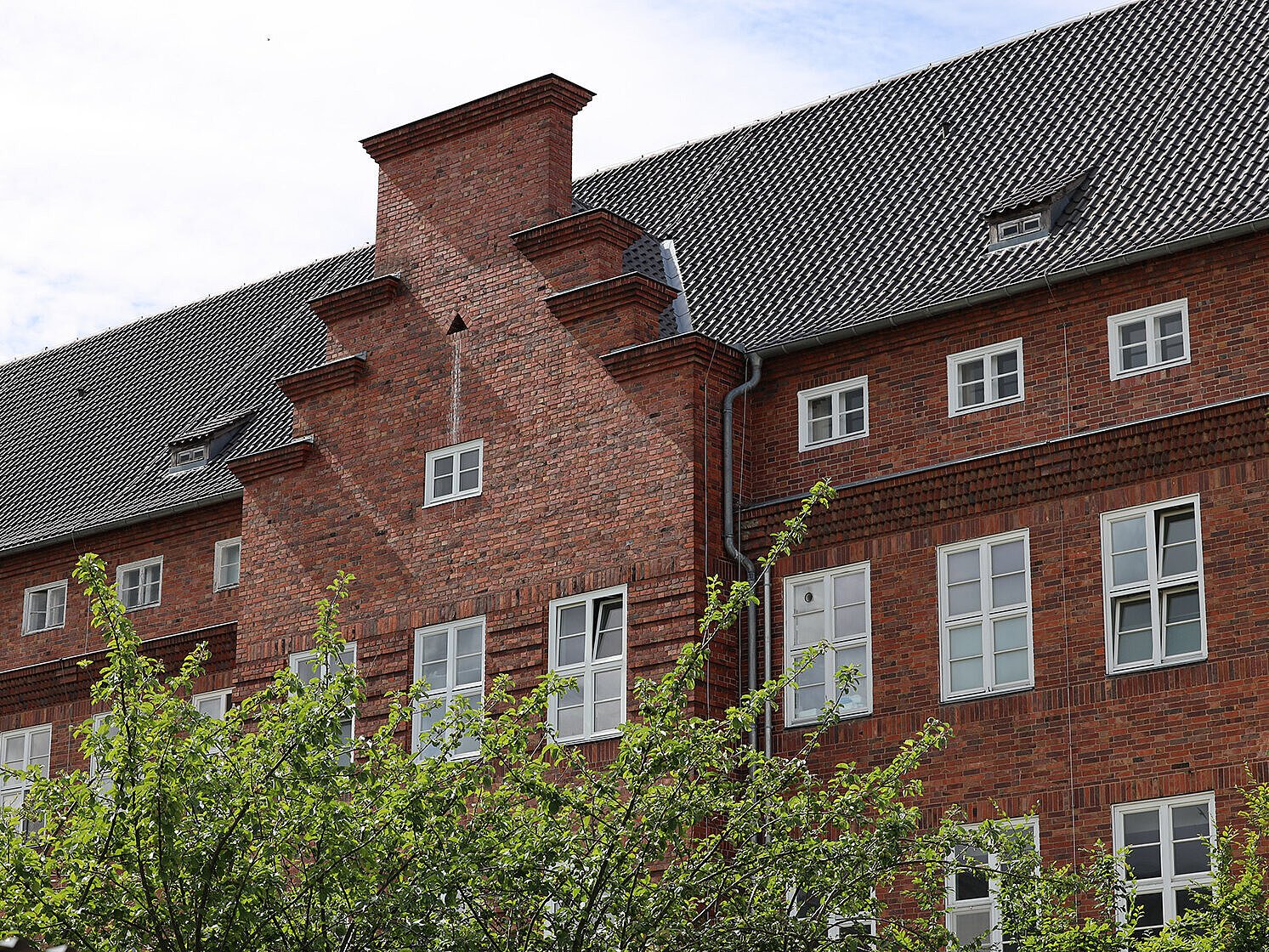 Gebäude, Greifswald