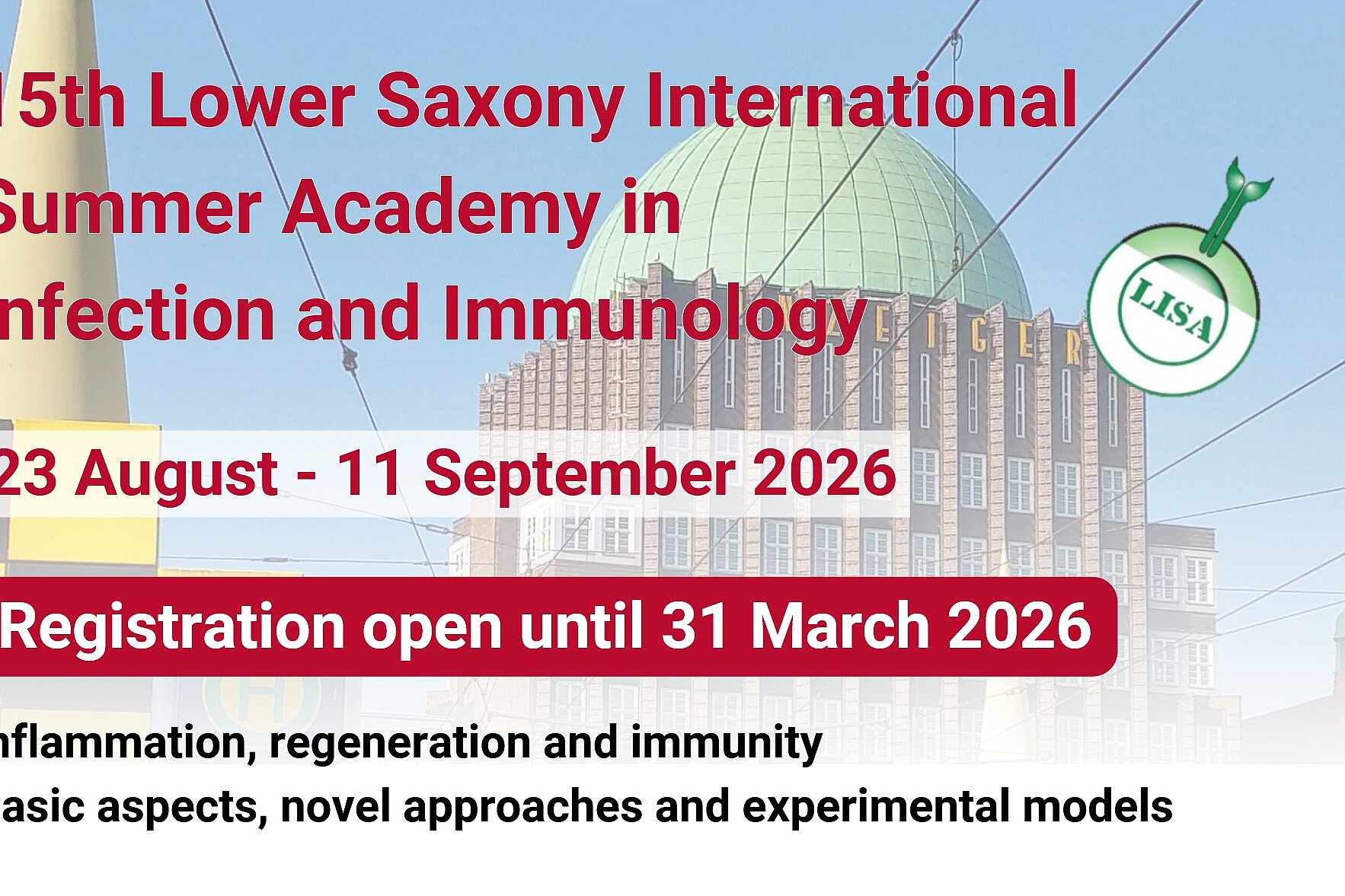 Announcement of the LISA summer academy 2026