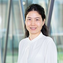 Portrait Dr Yan Zhu