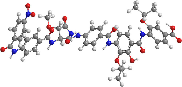 3D model of the structure of a cystobactamide molecule