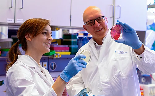 Die Ingenieurinnen und Ingenieure des Mikrobioms