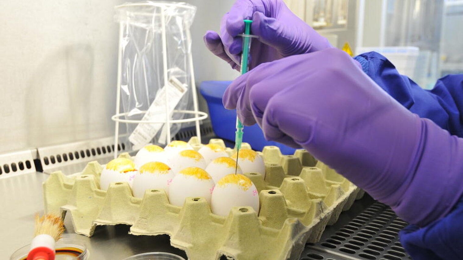 Production of influenza vaccines
