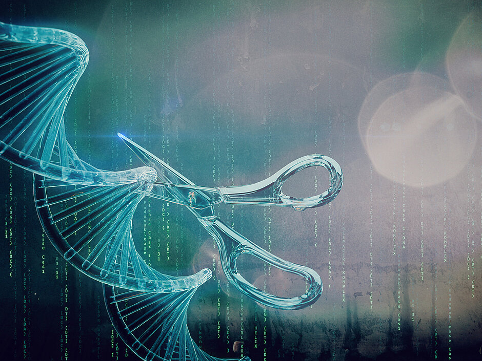 Illustration einer Schere, die einen DNA-Strang schneidet