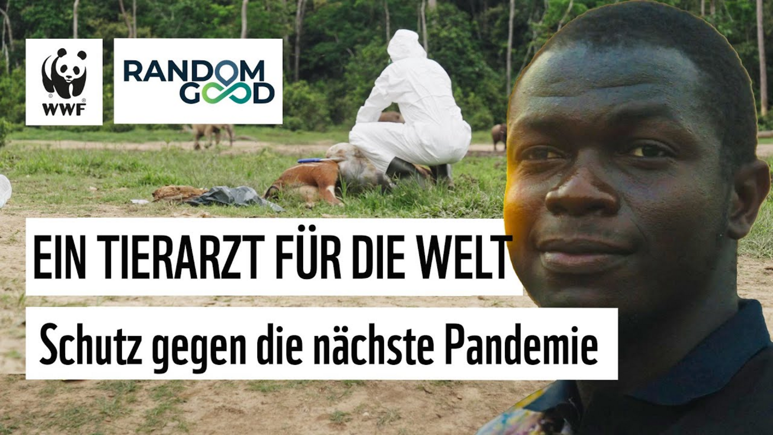 🌍 Ein Schutzschild für die Welt: Ein Tierarzt im Einsatz gegen die nächste Pandemie