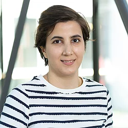 Elham Mansouri Ghahnavieh