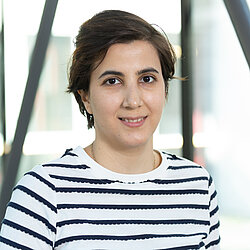 Elham Mansouri Ghahnavieh