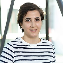 Elham Mansouri Ghahnavieh