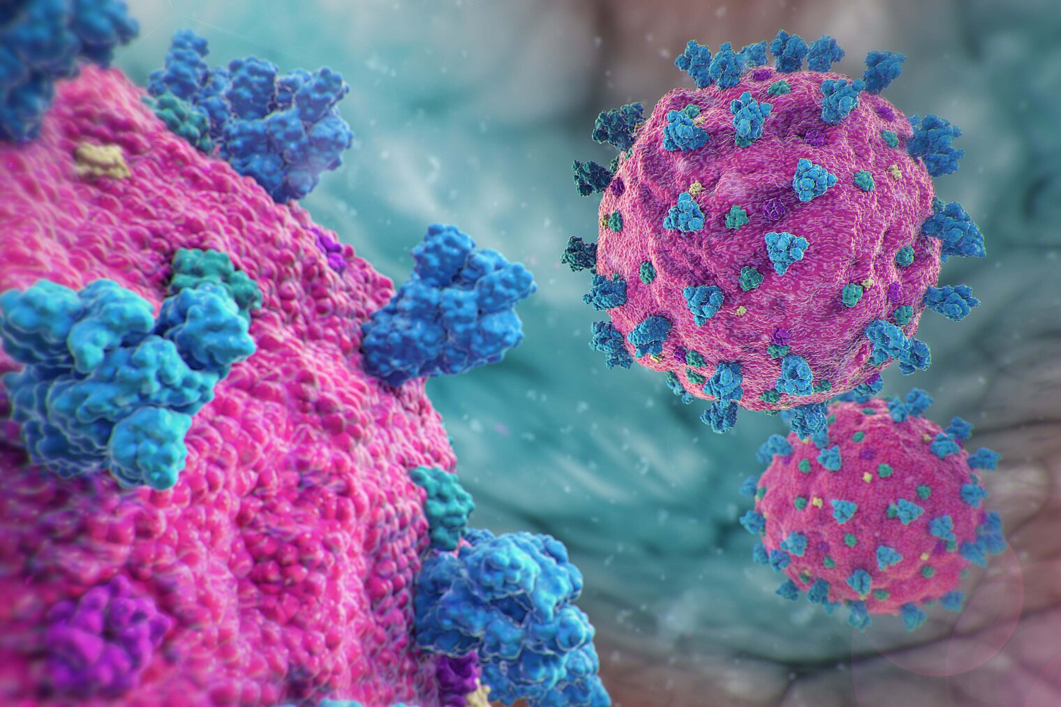 Illustration of coronaviruses such as SARS-CoV-2