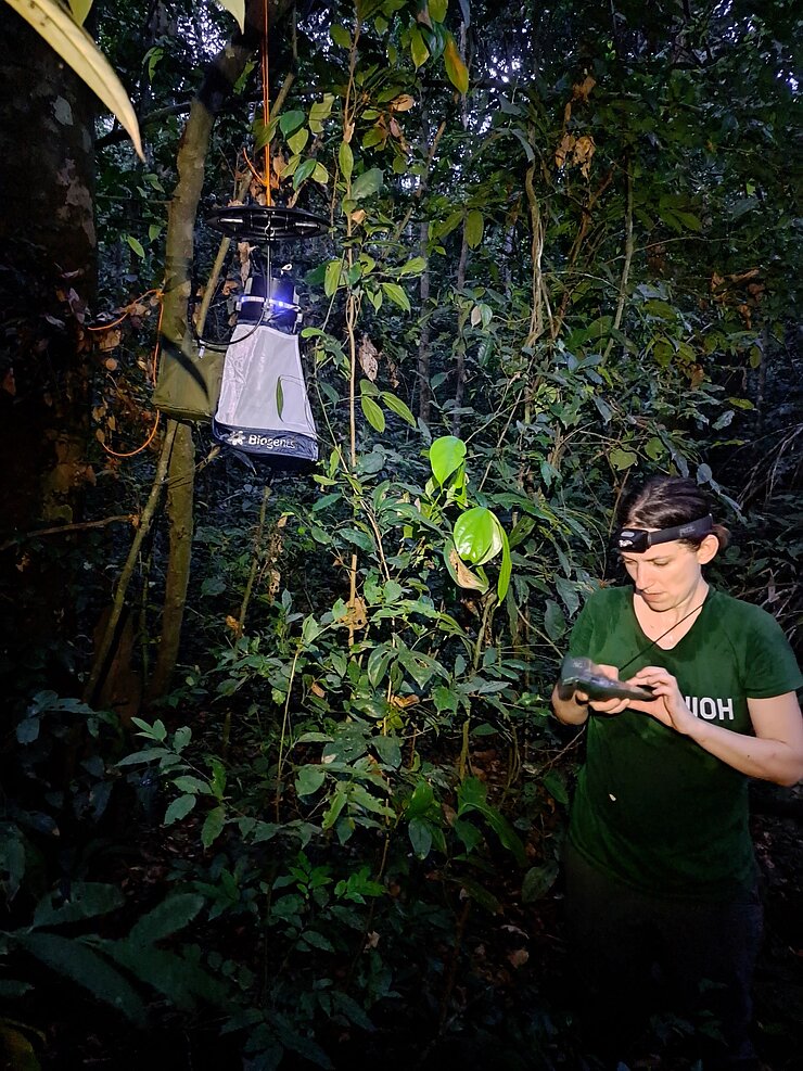 HIOH-Wissenschaftlerin Ariane Düx testete im April 2024 Moskito-Fallen im Taï-Nationalpark.