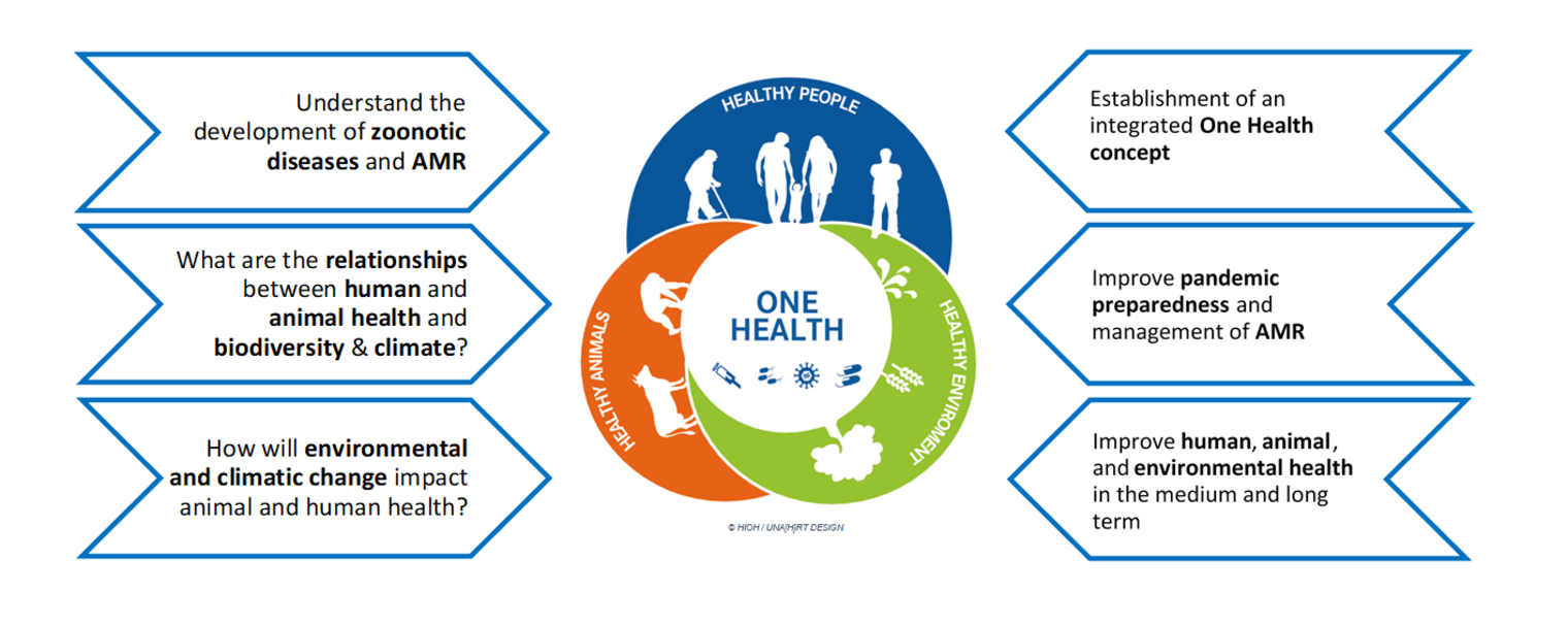 Chart One Health