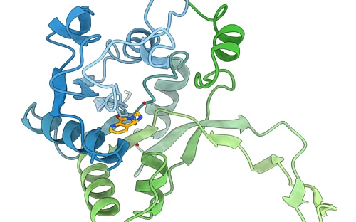 Targeted intervention in the metabolism of bacteria