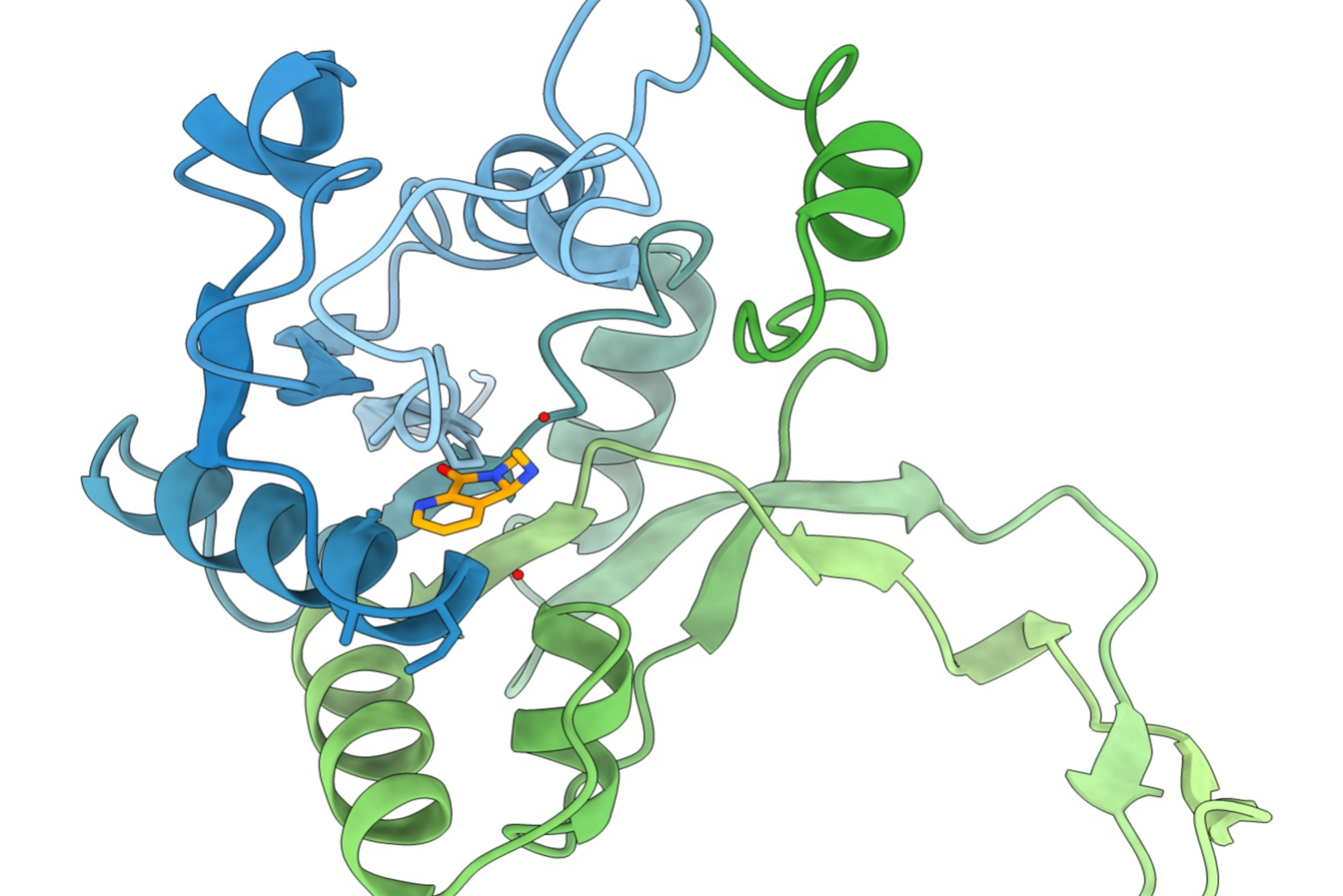 3D-Modell eines Proteins und eines Inhibitors