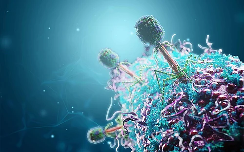 Eingebaute „Haarnadelstruktur“ verhindert unerwünschte CRISPR-RNAs