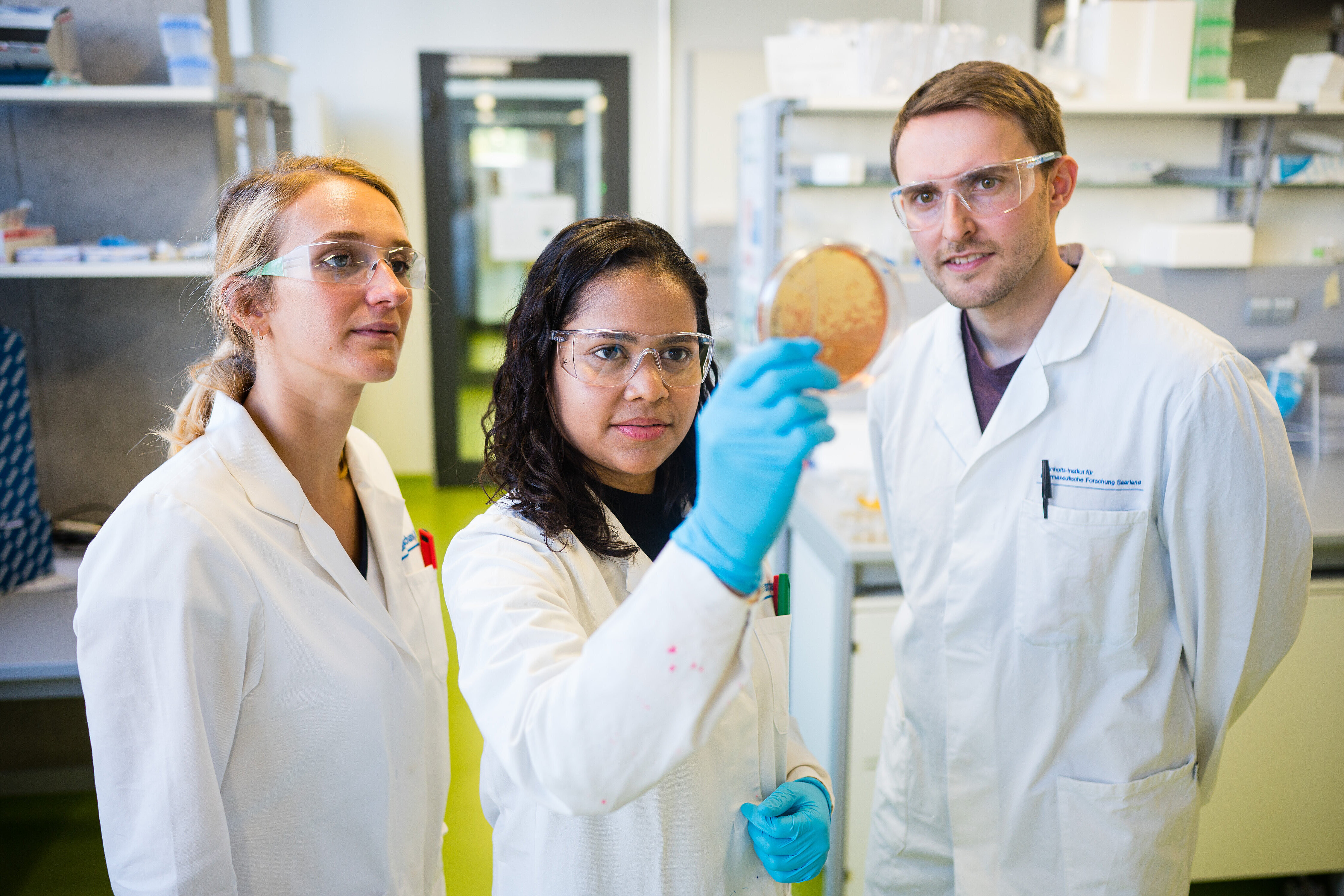 Wissenschaftler:innen betrachten Agarplatte