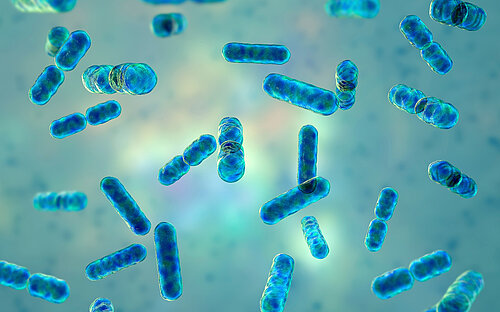 Darmmikrobiota und Antibiotika: Fehlendes Puzzlestück entdeckt