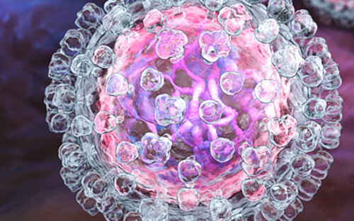 Illustration eines Hepatitis C-Virus