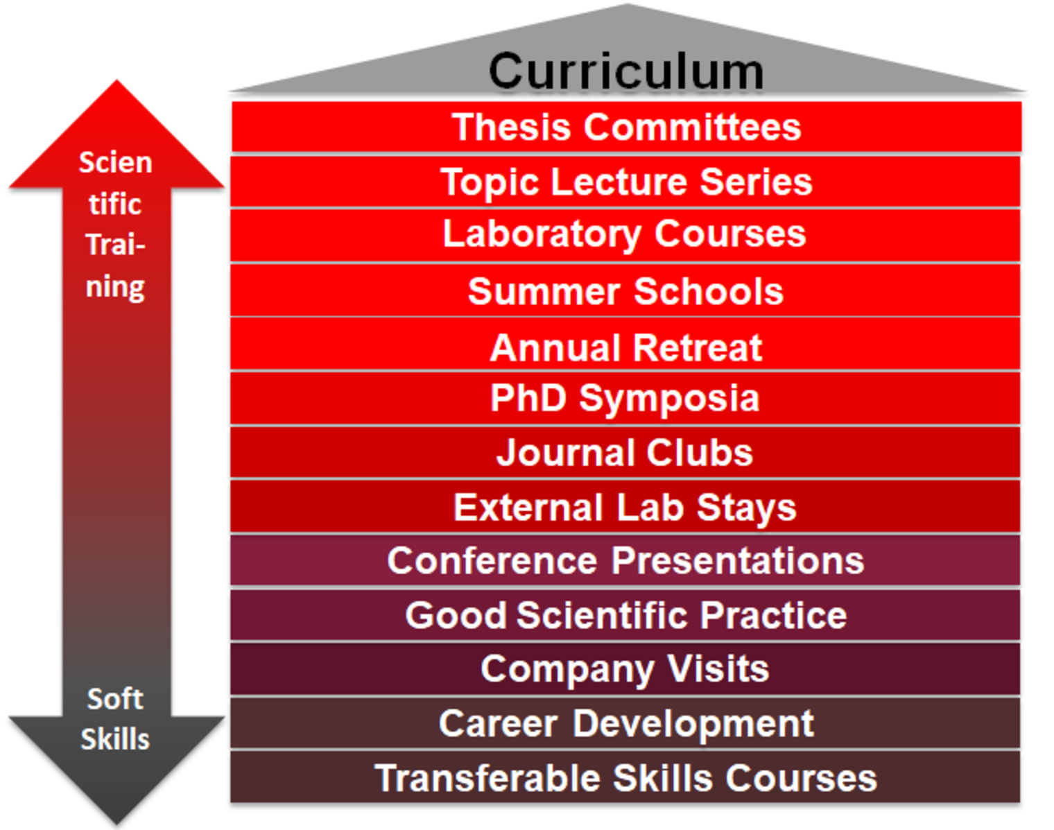 Curriculum of the HZI Gradschool