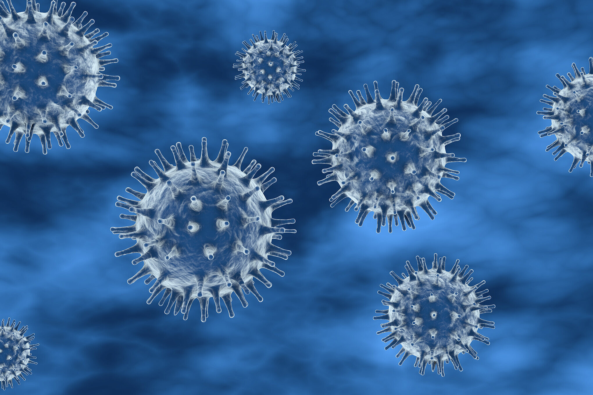 Infact illustration of hepesvirus in blue