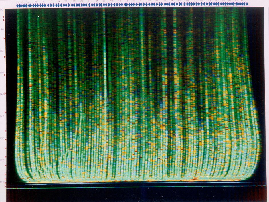  Genome sequence