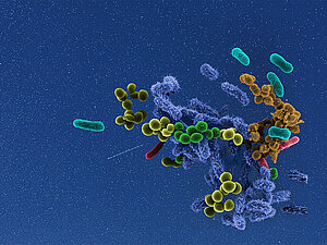 Microbes in front of a stary sky