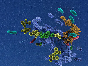 Mikroben vor einem Sternenhimmel