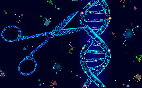 Scissors cut DNA helix