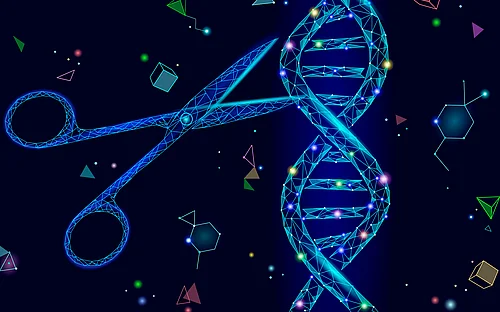 This Anti-CRISPR Stops the Protein Assembly Line in Bacteria