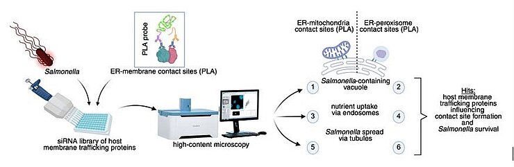 Overview of the project