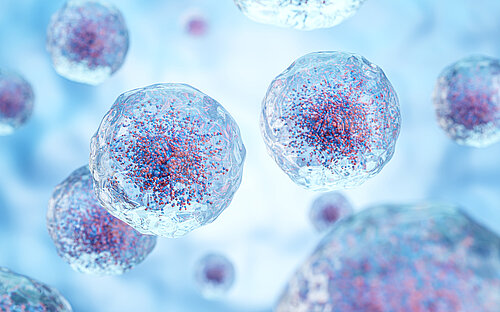 Illustration von Zellen mit transparenter Membran und Strukturen in den Zellen