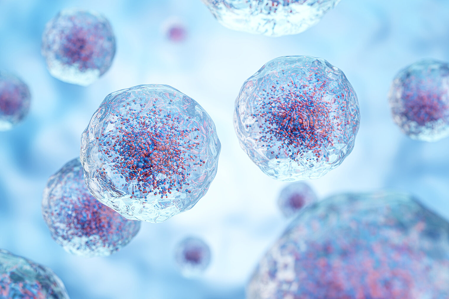 Illustration of cells with transparent membranes and structures inside the cells
