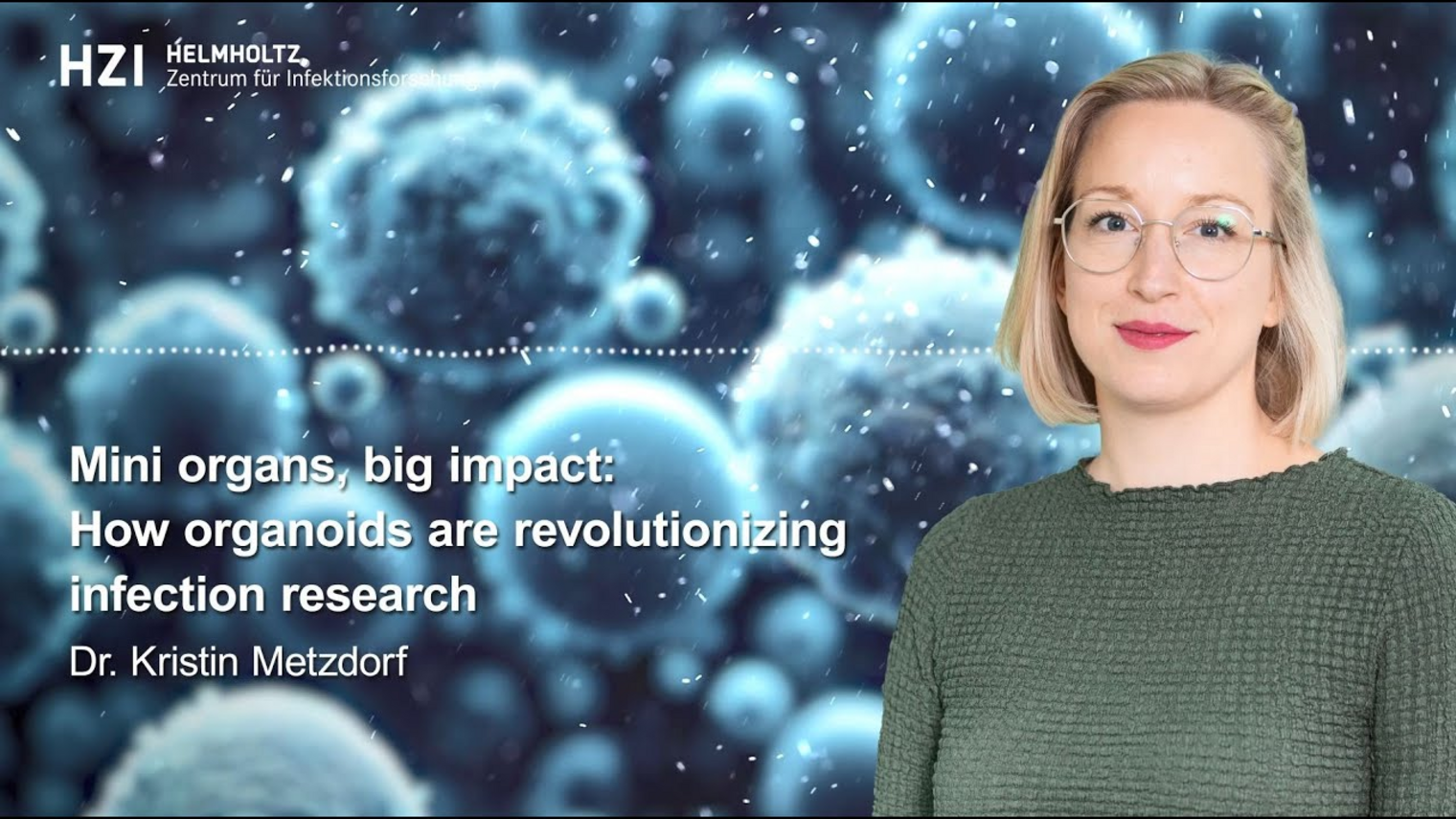 Mini organs, big impact: HZI Podcast "InFact" on organoids with Dr Kristin Metzdorf