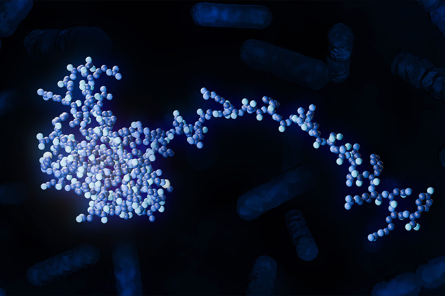 Atomares Modell des RbpB-Proteins von Bacteroides thetaiotaomicron mit einzelnen B. thetaiotaomicron-Bakterien im Hintergrund. 