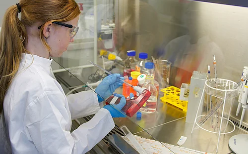 Zukunftstag 2026 am Helmholtz-Zentrum für Infektionsforschung