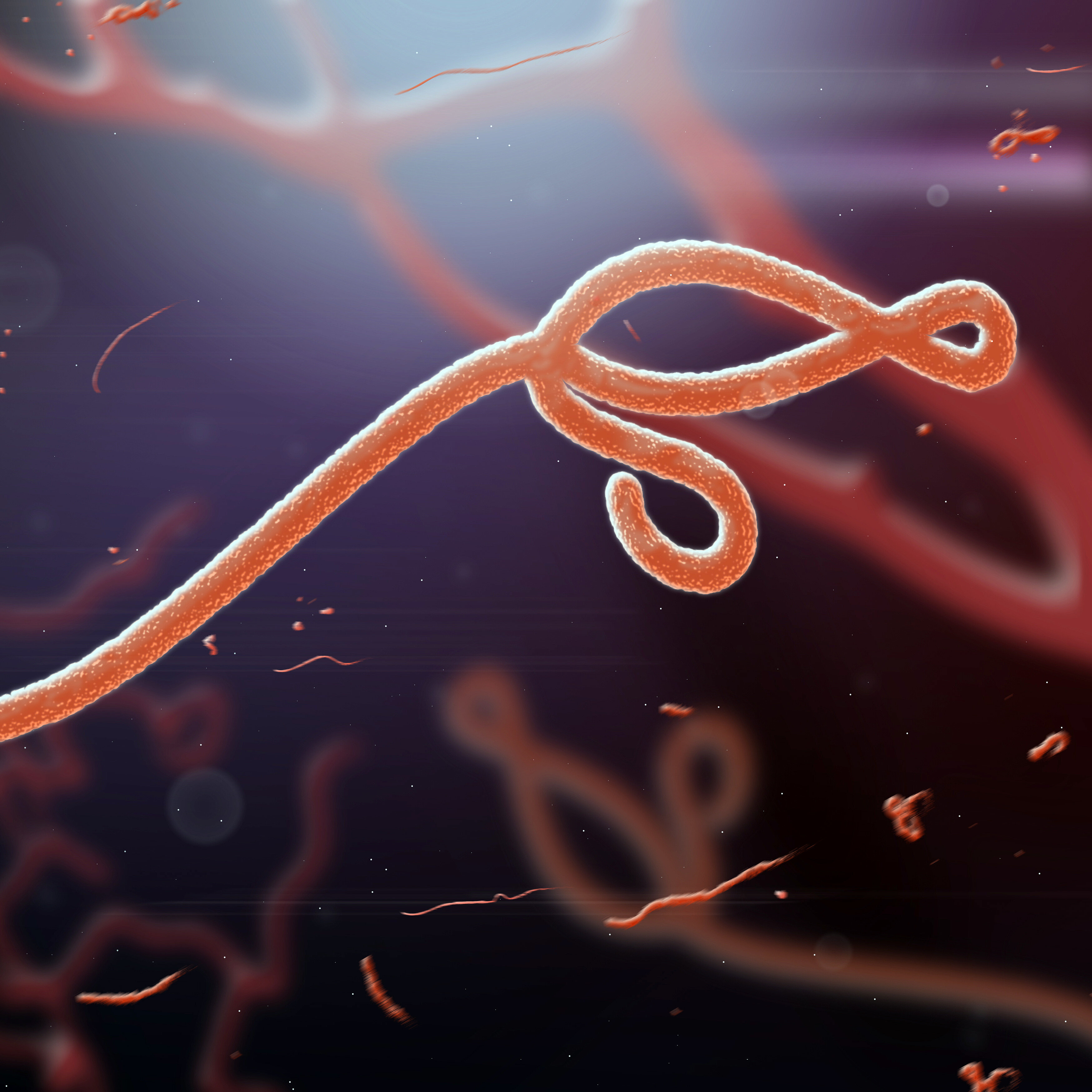 Ebola Virus