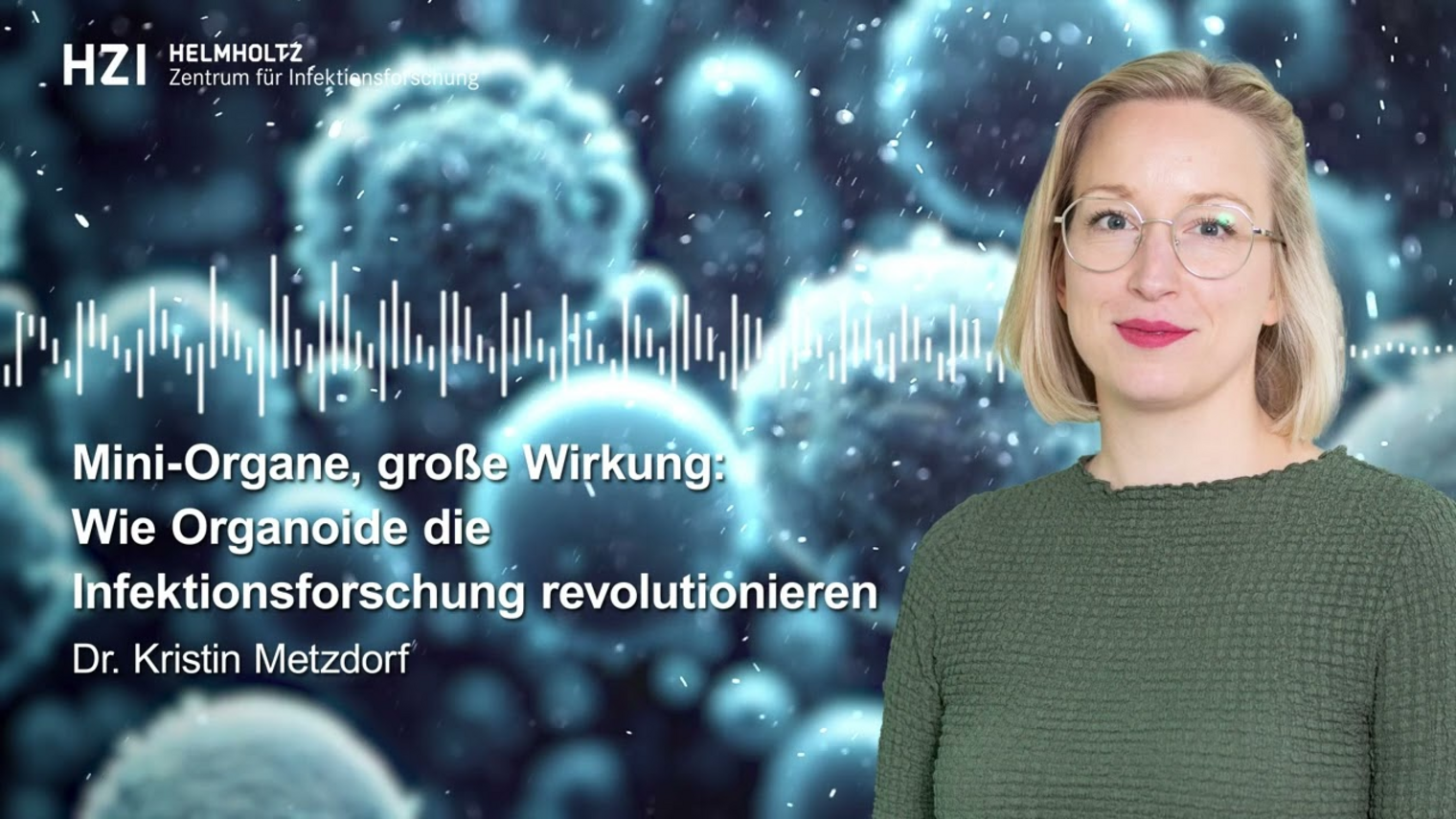 Mini-Organe, große Wirkung: HZI-Podcast InFact mit Dr. Kristin Metzdorf zum Thema Organoide