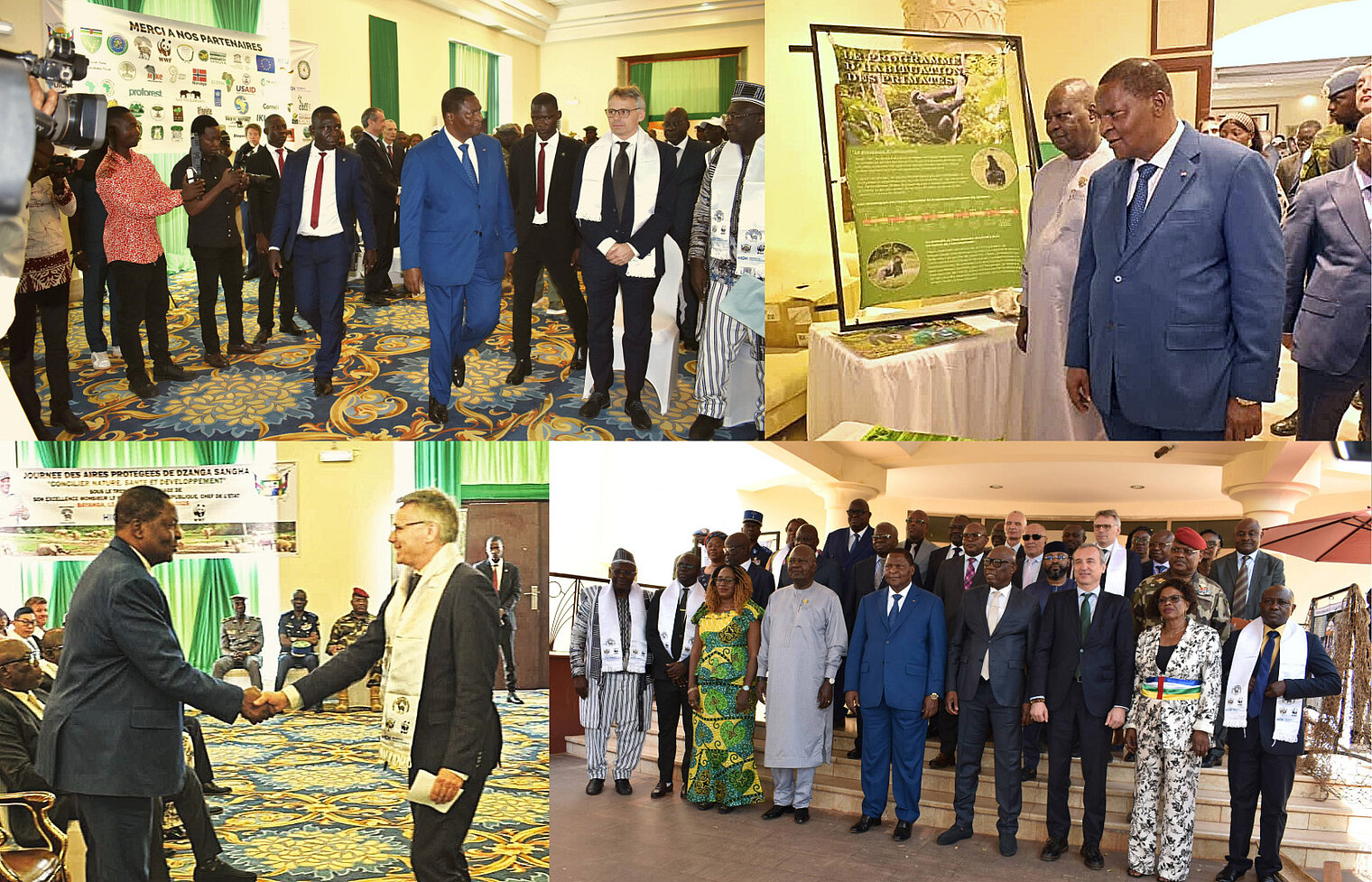 Präsident der Zentralafrikanischen Republik