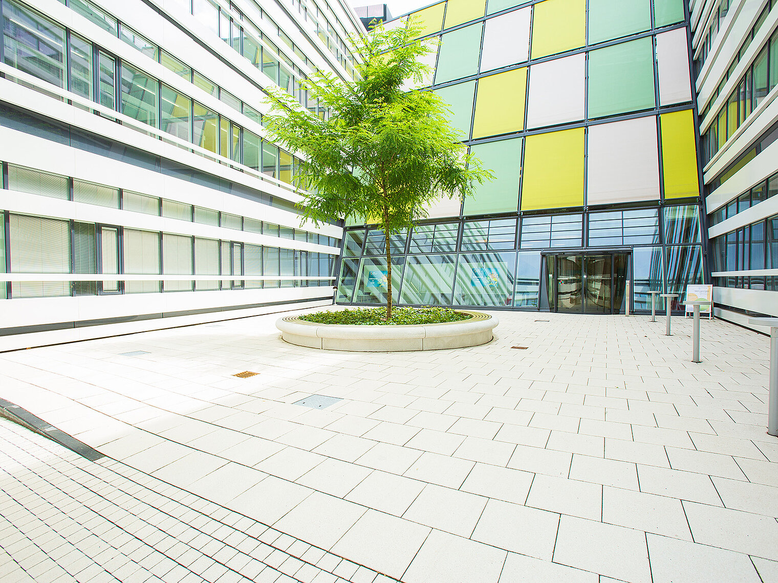 The courtyard of a modern building with light-colored paving. A tree grows in the center. The facade in the background consists of large, colored glass panels in yellow, green, and white.