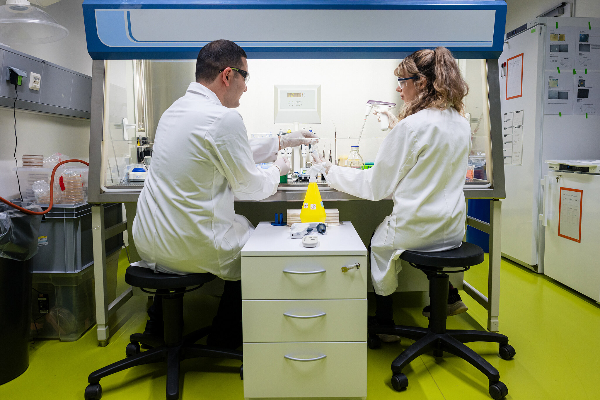 Researchers in the laboratory 