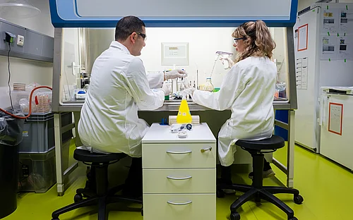 HIPS and Beiersdorf AG join forces in microbiome research 