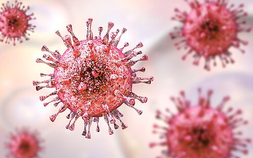 3D-Illustration des Zytomegalievirus