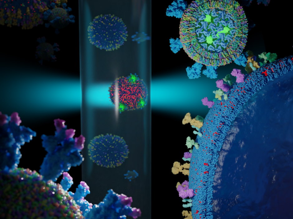 Animation image of viruses