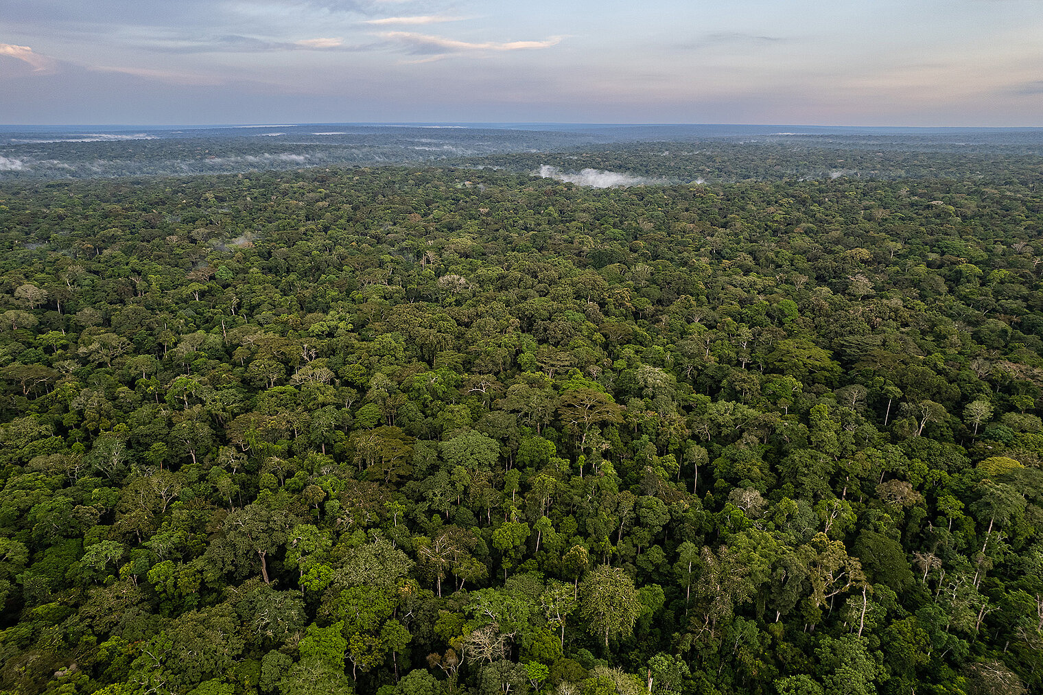 Dzanga-Sangha Protected Areas